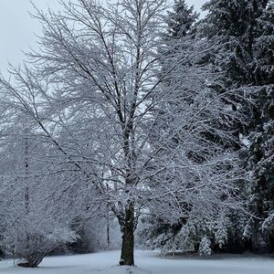 Meet your Posher, Leeann